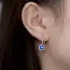 Elegant Daily Gem earring